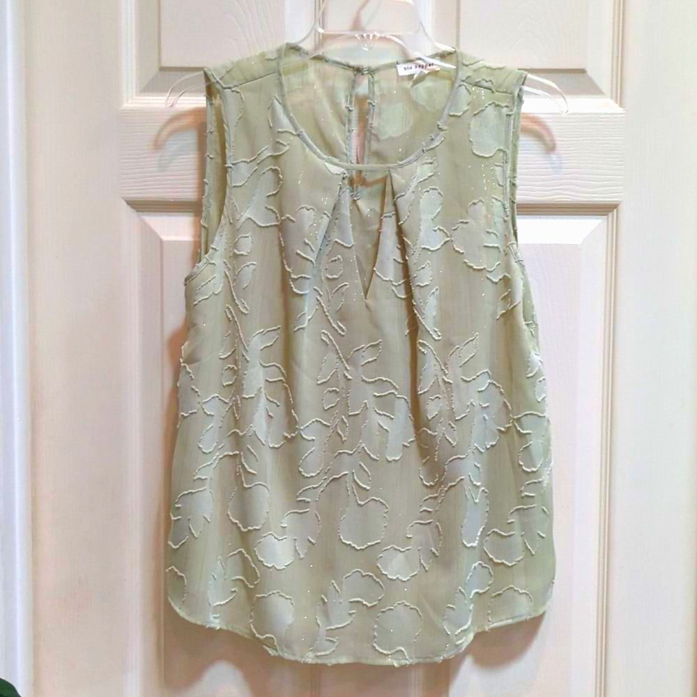 Blu Pepper Women's Mint Green Sleeveless Top w/Sheer Back Size Medium